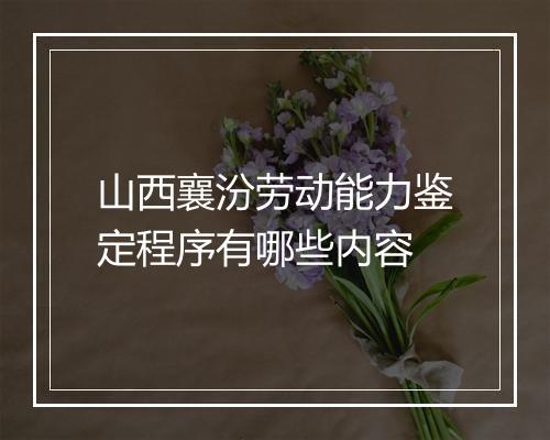 山西襄汾劳动能力鉴定程序有哪些内容