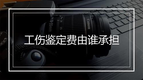 工伤鉴定费由谁承担
