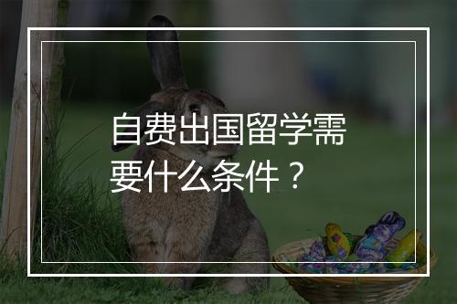 自费出国留学需要什么条件？