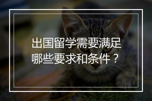 出国留学需要满足哪些要求和条件？