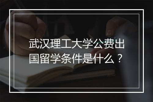 武汉理工大学公费出国留学条件是什么？