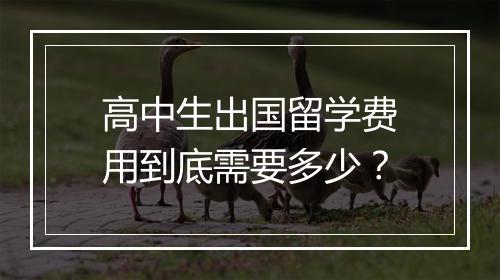 高中生出国留学费用到底需要多少？