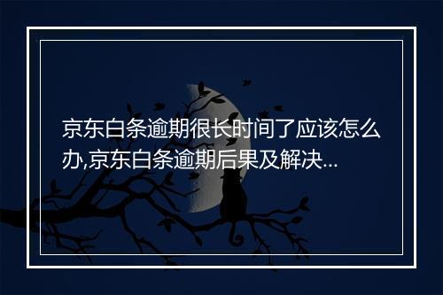 京东白条逾期很长时间了应该怎么办,京东白条逾期后果及解决办法