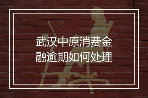 武汉中原消费金融逾期如何处理