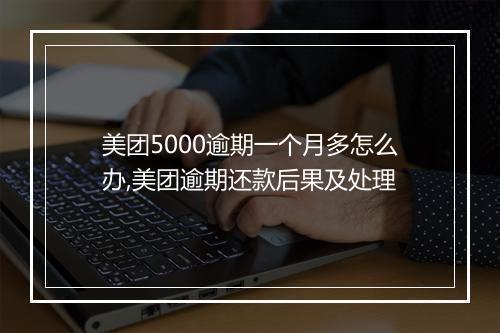 美团5000逾期一个月多怎么办,美团逾期还款后果及处理