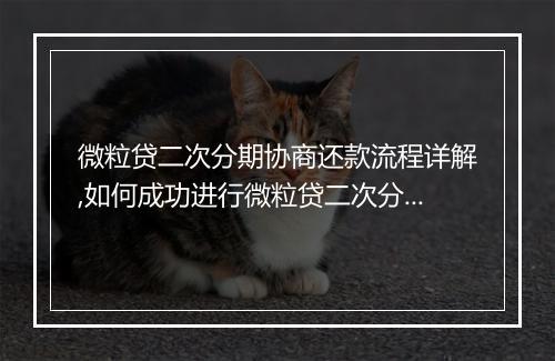 微粒贷二次分期协商还款流程详解,如何成功进行微粒贷二次分期协商还款