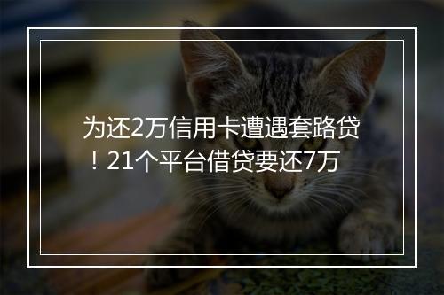 为还2万信用卡遭遇套路贷！21个平台借贷要还7万