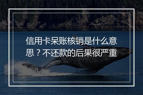 信用卡呆账核销是什么意思？不还款的后果很严重