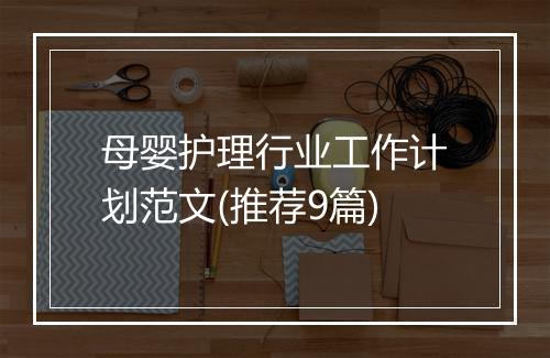母婴护理行业工作计划范文(推荐9篇)