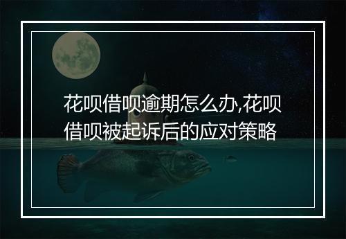 花呗借呗逾期怎么办,花呗借呗被起诉后的应对策略