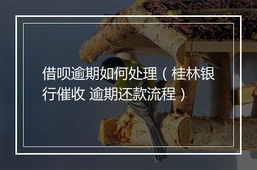 借呗逾期如何处理（桂林银行催收 逾期还款流程）