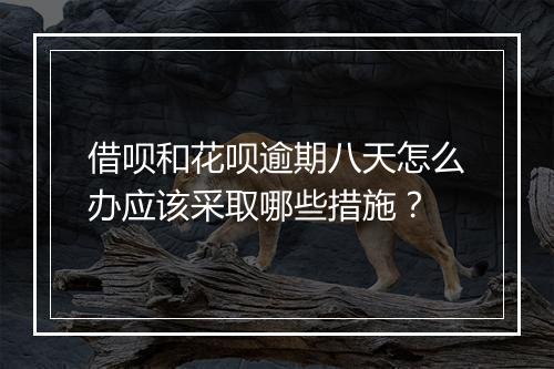 借呗和花呗逾期八天怎么办应该采取哪些措施？