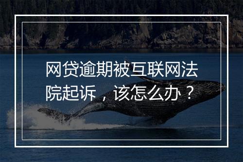 网贷逾期被互联网法院起诉，该怎么办？