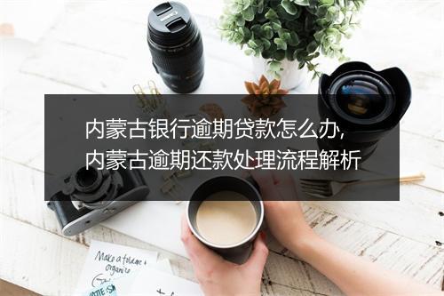 内蒙古银行逾期贷款怎么办,内蒙古逾期还款处理流程解析