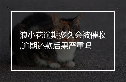 浪小花逾期多久会被催收,逾期还款后果严重吗