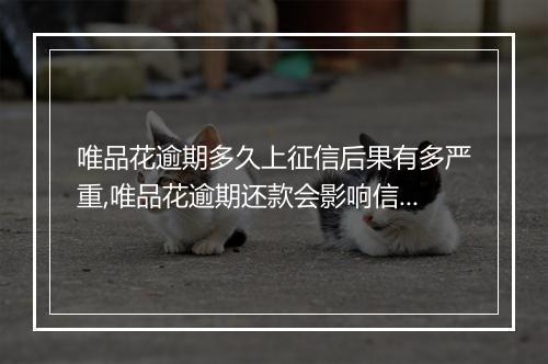 唯品花逾期多久上征信后果有多严重,唯品花逾期还款会影响信用记录吗