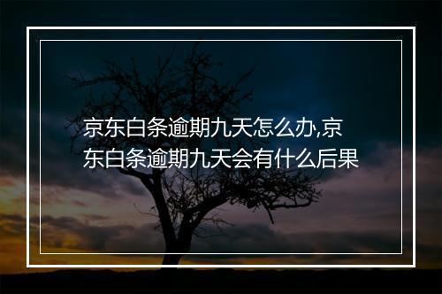 京东白条逾期九天怎么办,京东白条逾期九天会有什么后果