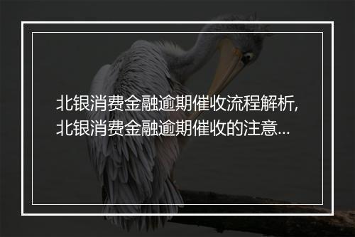 北银消费金融逾期催收流程解析,北银消费金融逾期催收的注意事项