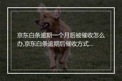 京东白条逾期一个月后被催收怎么办,京东白条逾期后催收方式解析