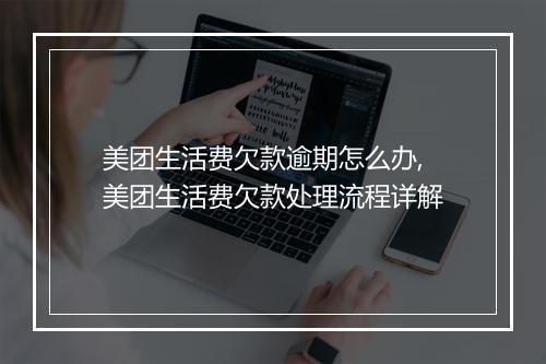 美团生活费欠款逾期怎么办,美团生活费欠款处理流程详解