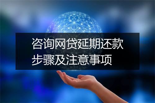 咨询网贷延期还款步骤及注意事项