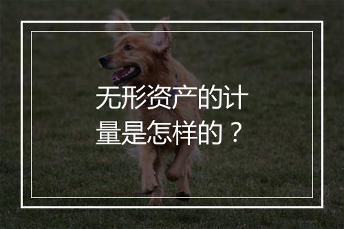 无形资产的计量是怎样的？