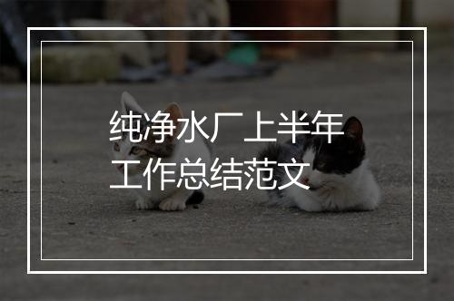 纯净水厂上半年工作总结范文