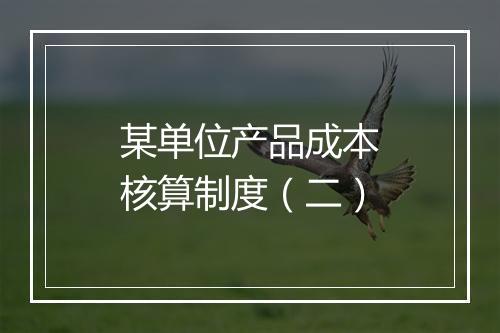 某单位产品成本核算制度（二）
