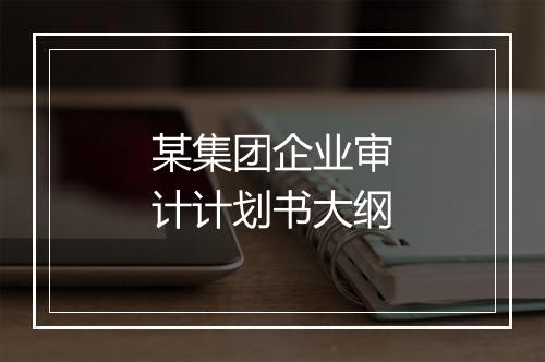 某集团企业审计计划书大纲
