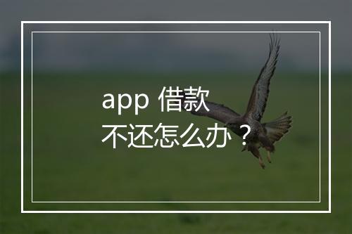 app 借款不还怎么办？