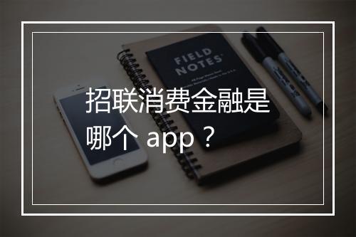 招联消费金融是哪个 app？