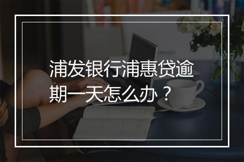 浦发银行浦惠贷逾期一天怎么办？