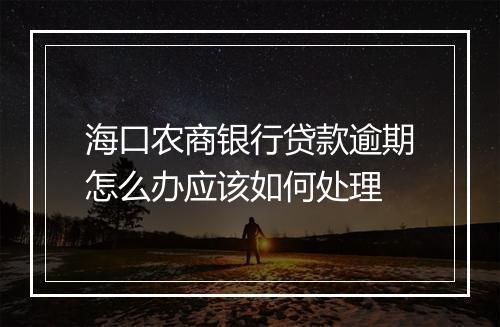海口农商银行贷款逾期怎么办应该如何处理