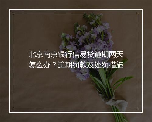 北京南京银行信易贷逾期两天怎么办？逾期罚款及处罚措施