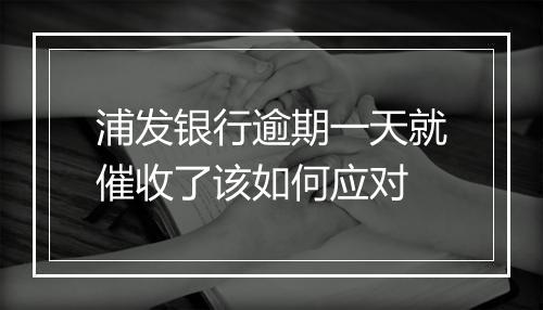 浦发银行逾期一天就催收了该如何应对