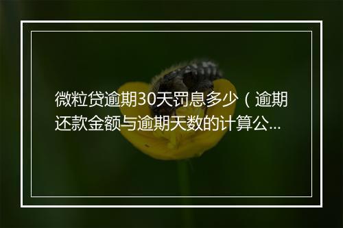 微粒贷逾期30天罚息多少（逾期还款金额与逾期天数的计算公式）