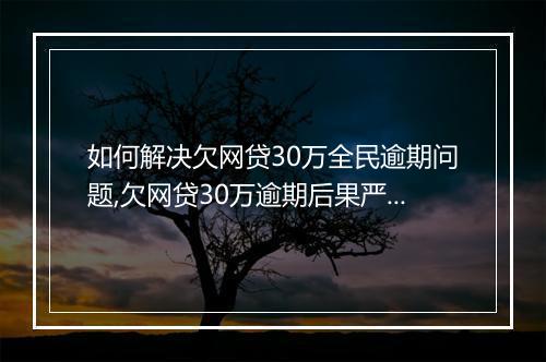 如何解决欠网贷30万全民逾期问题,欠网贷30万逾期后果严重吗