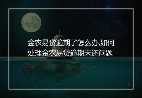 金农易贷逾期了怎么办,如何处理金农易贷逾期未还问题