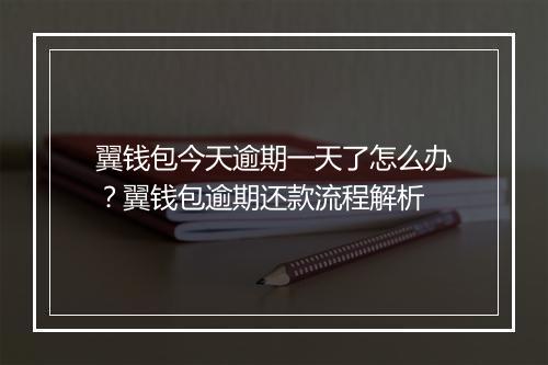 翼钱包今天逾期一天了怎么办？翼钱包逾期还款流程解析