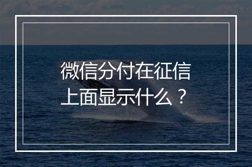 微信分付在征信上面显示什么？