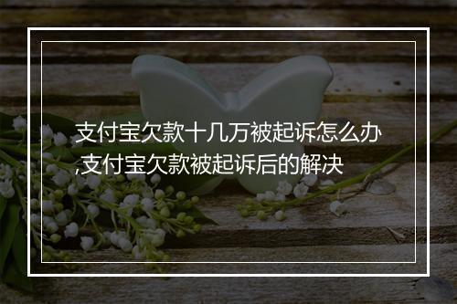 支付宝欠款十几万被起诉怎么办,支付宝欠款被起诉后的解决