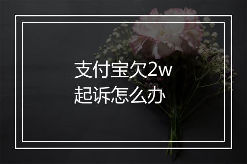 支付宝欠2w起诉怎么办