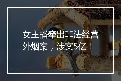 女主播牵出非法经营外烟案，涉案5亿！