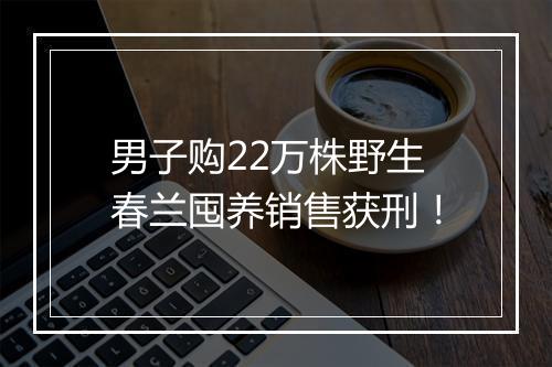 男子购22万株野生春兰囤养销售获刑！