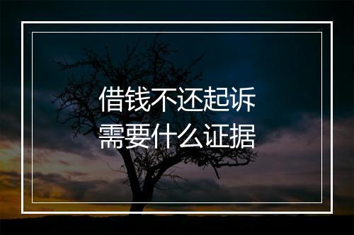 借钱不还起诉需要什么证据