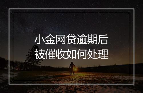 小金网贷逾期后被催收如何处理