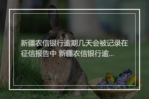 新疆农信银行逾期几天会被记录在征信报告中 新疆农信银行逾期贷款处理规定