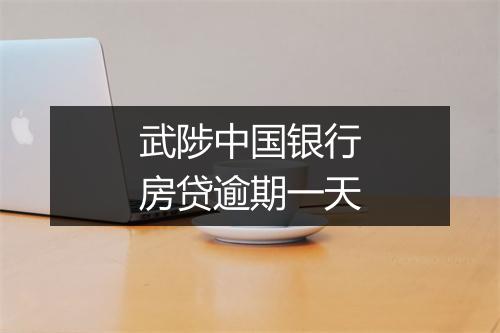 武陟中国银行房贷逾期一天