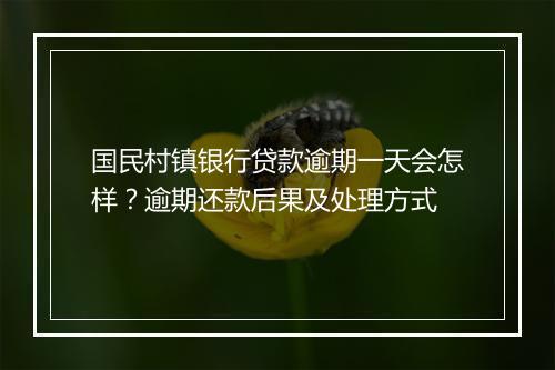 国民村镇银行贷款逾期一天会怎样？逾期还款后果及处理方式