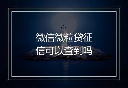 微信微粒贷征信可以查到吗